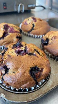 Wild Rice Blueberry Muffins - made fresh daily