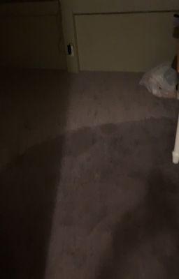 Carpet damage from a flooded basement