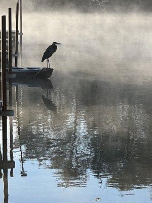 A crane at sunrise.