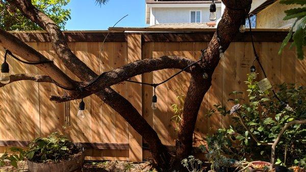 Adam did a wonderful job being mindful of my existing tree on the fence line. Worked with care to use the existing post holes