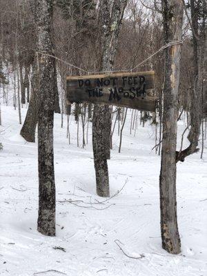 Glades wider than a football stadium