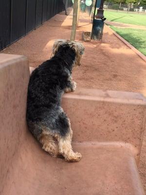 Sitting on the bench