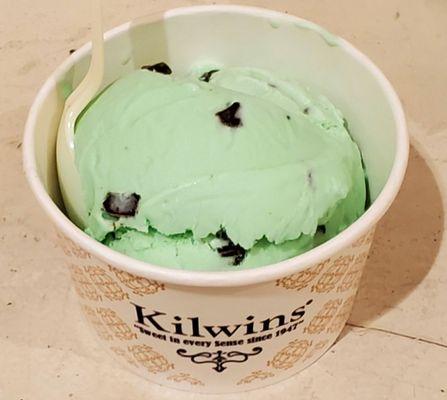 Mint chocolate chip