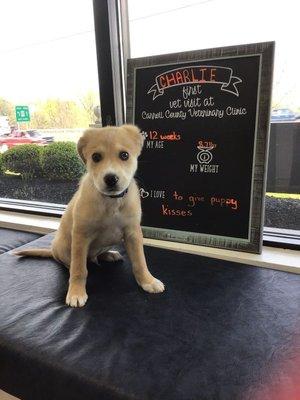 Charlie, his first puppy visit