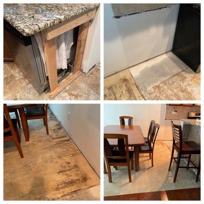 Demo after damage caused by a seven year old Frigidaire dishwasher