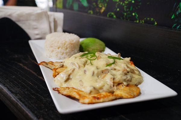 Chicken breast in a white mushroom sauce