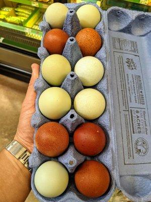 Blue and brown eggs. High in omega. Super orange yolks.