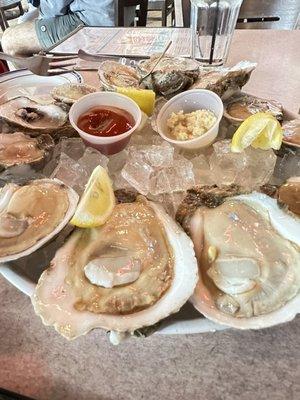 Oysters on the 1/2 shell