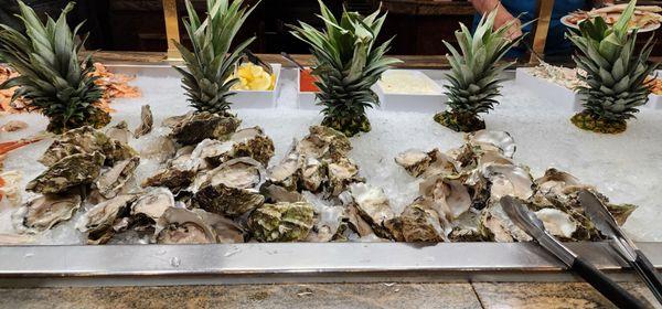 Oysters on Saturdays