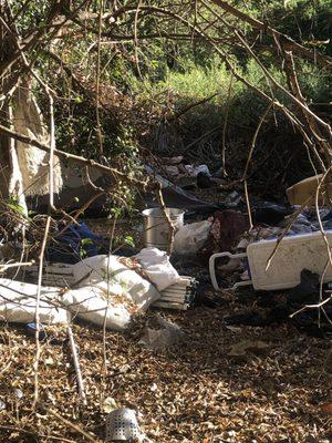 Homeless Encampment