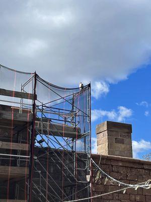 COOL...a juvenile Bald Eagle sitting atop the scaffolding on Castle Clinton.