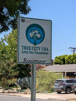 Tree City USA