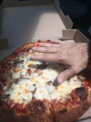 Andrew made me a quick 6 cut thin crust. Pretty large. $8. Ready in ten minutes. Thick sician slices were available and pepperoni rolls etc