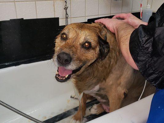 Mia getting a bath!