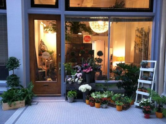 Studio Posy inside of the historic Monticello Arcade in downtown Norfolk.