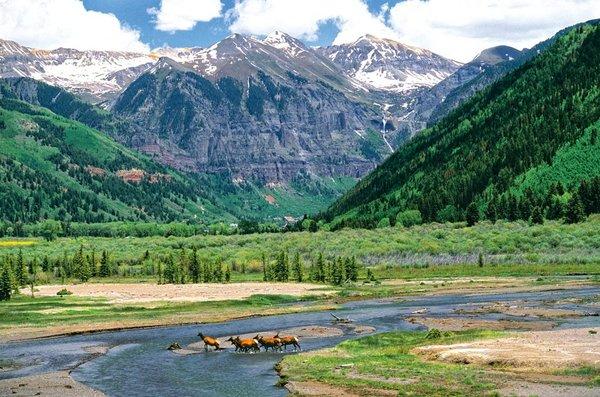 Telluride`s celebrity residents... bathing.