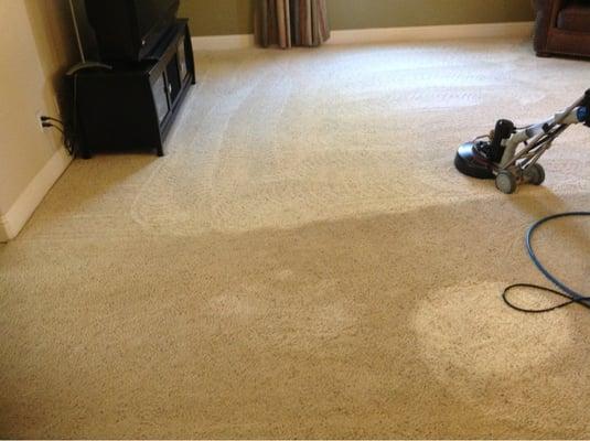 Twice As Nice,we refresh renew and restore your carpet.