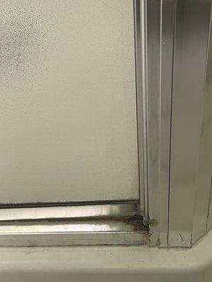 Mold on the shower.