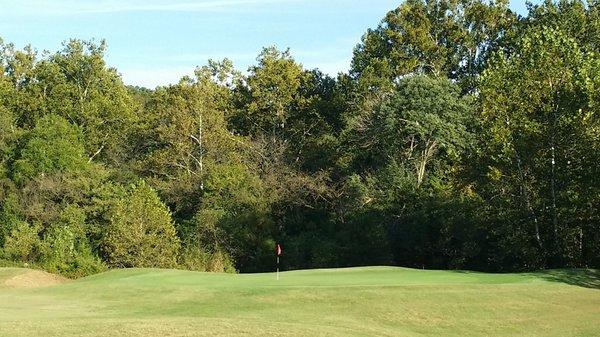 Hole # 5's Green and approach