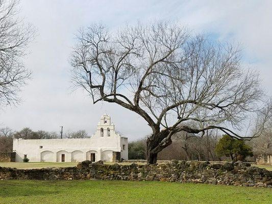 Trimming a mesquite tree at the San Juan Mission.