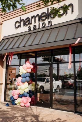 Chameleon Salon