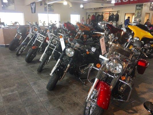 Nice selection of bikes