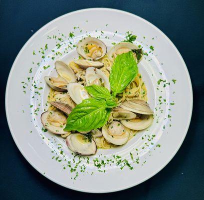 Linguini with Whitewater Clams over white sauce