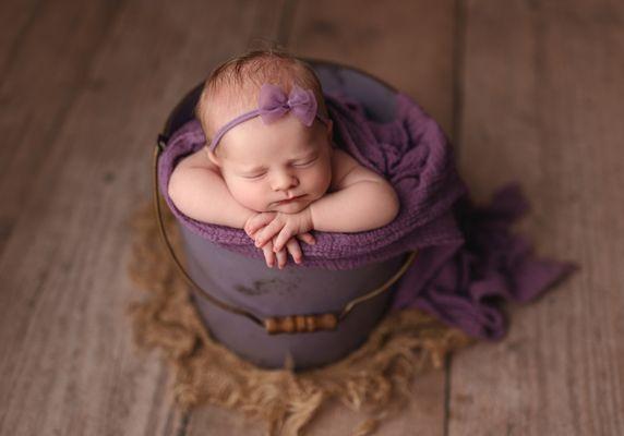 Newborn Portraits