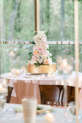 Our wedding cake from Confection Perfection of Marietta, Georgia. Buzz (Georgia Tech) and Dooley (Emory).