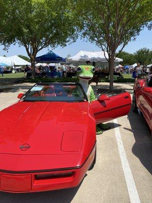 Gecko checking out a Vette at Connor's Car Show.