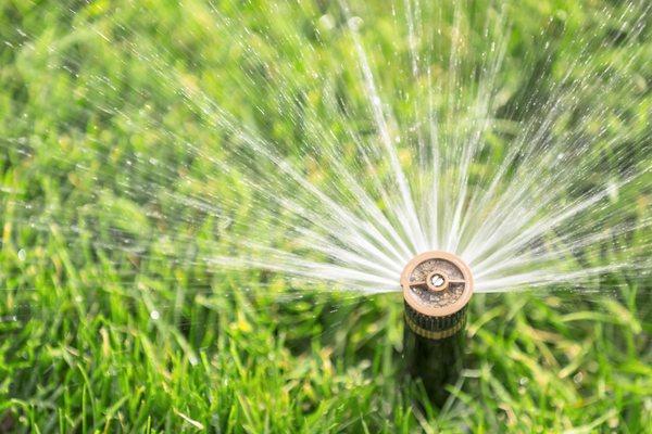 Irrigation Thoughtful and effective water management, installation, and maintenance tailored to your local contidions