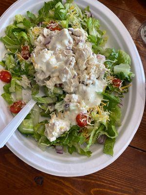 Chicken salad on romaine with different toppings.