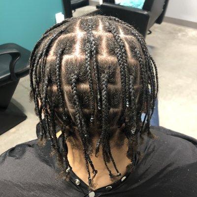 Braids by ShaKeena