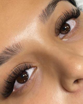 Volume lashes