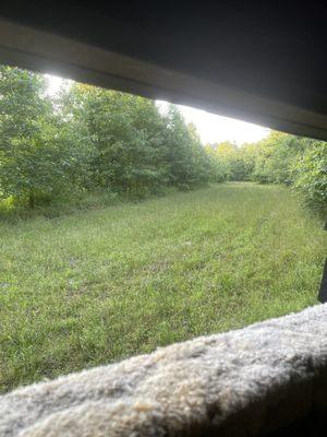 Back view of my blind