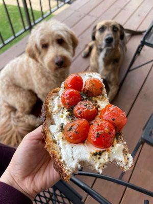 Roasted Tomato & Goat Cheese Toast