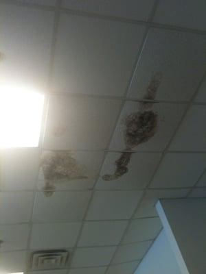 Mold on ceilings.