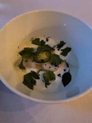 Cucumber and Raw Scallop