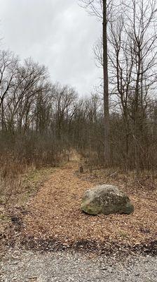 Entrance into the woods from the parking lot.