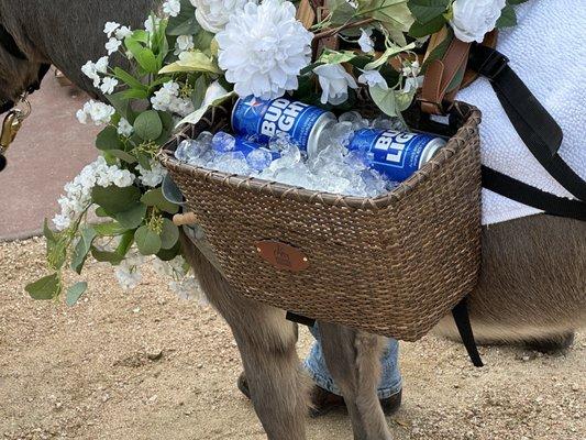 Nov 2024. The other donkey carried regular Budweiser.