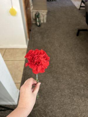 The carnation they gave me!