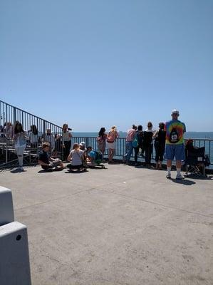 Crowd watching the sailing event at Belmont Pier