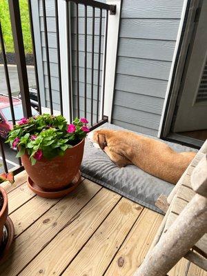 The balcony was great and we used it daily when weather permitted.