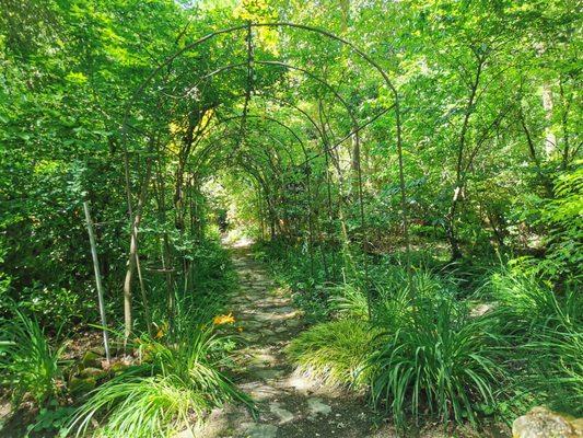 Pathway though arches