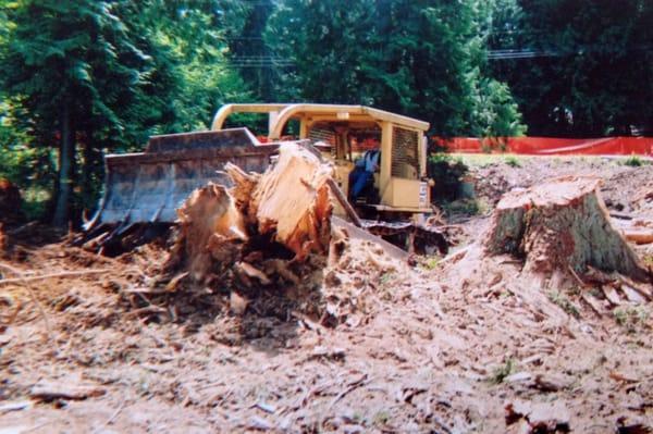 Dozer Stump Clearing