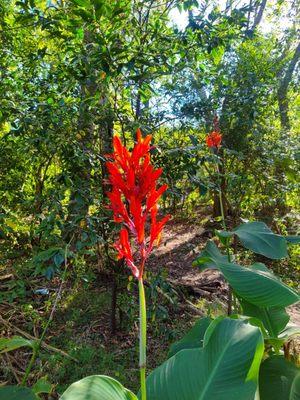 Bright colored nature