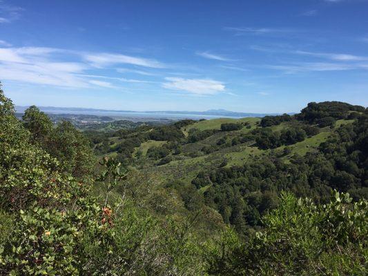 When Taylor isn't in the office, you'll find him enjoying the gorgeous Marin hills with his family.