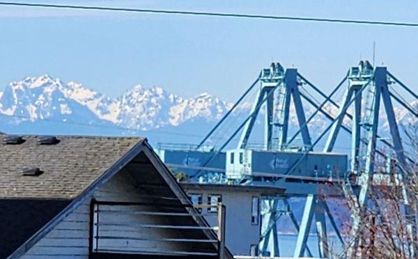 Looking west from Hewitt towards Grand, on a sunny Sunday one can see the Olympics (3/17/24)