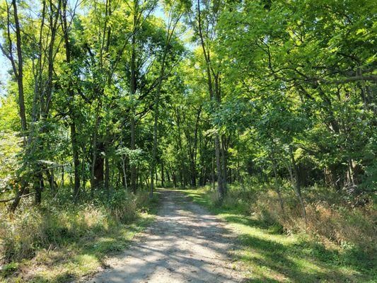 A welcome bit of shade at the turnaround point on the Killdeer Trail.