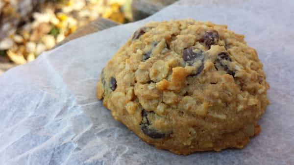 guerrilla cookie! - oatmeal, chocolate chips, raisins, walnuts, sunflower seeds, peanut butter.. mmmm sounds like a lot but nooo